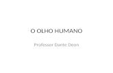O OLHO HUMANO Professor Dante Deon. Olho Humano.