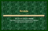 Revisão Prof: Ricardo Gonçalves Quintão  E-mail: rgquintao@yahoo.com.br.