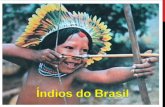 O ensino da História do Brasil levará em conta as contribuições das diferentes culturas e etnias para a formação do povo brasileiro, especialmente das.