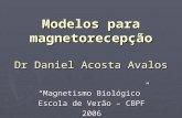 Modelos para magnetorecepção Dr Daniel Acosta Avalos Magnetismo Biológico Escola de Verão – CBPF 2006.