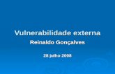 Vulnerabilidade externa Reinaldo Gonçalves 28 julho 2008.