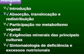 Introdução Absorção, translocação e redistribuição Participação no metabolismo vegetal Exigências minerais das principais culturas Sintomatologia de deficiência.