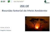 ZEE-DF Reunião Setorial de Meio Ambiente Brasília, 02/03/10 Rogério Vereza.