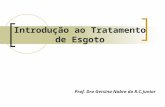 Introdução ao Tratamento de Esgoto Prof. Dra Gersina Nobre da R.C.Junior.