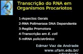Transcrição do RNA em Organismos Procariotos Edmar Vaz de Andrade edandrade 1-Aspectos Gerais 2-RNA Polimerase DNA Dependente 3-Região.