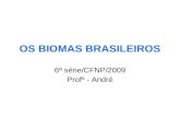 OS BIOMAS BRASILEIROS 6ª série/CFNP/2009 Profº - André