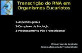 Transcrição do RNA em Organismos Eucariotos 1-Aspectos gerais 2-Complexo de iniciação 3-Processamento Pós-Transcricional Edmar Vaz de Andrade home.ufam.edu.br/~edandrade.