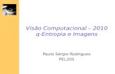 Visão Computacional – 2010 q-Entropia e Imagens Paulo Sérgio Rodrigues PEL205.