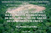 UTILIZAÇÃO DE TOPSOIL DA FLORESTA NO PROCESSO DE RECUPERAÇÃO DE ÁREAS DEGRADADAS EM URUCU Dr. Niwton Leal Filho Manaus - 2006 II WORKSHOP DE AVALIAÇÃO.