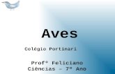 Aves Profº Feliciano Ciências – 7º Ano Colégio Portinari.