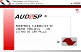 1 AUDITORIA ELETRÔNICA DE ORGÃOS PÚBLICOS DO ESTADO DE SÃO PAULO.