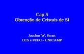 Cap 5 Obtenção de Cristais de Si Jacobus W. Swart CCS e FEEC - UNICAMP.