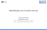 1 Introdução aos Sockets (Java) Tiago Semprebom tisemp@das.ufsc.br DAS – Departamento de Automação e Sistemas UFSC – Universidade Federal de Santa Catarina.
