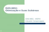 1 DAS-6651: Otimização e Suas Subáreas DAS-6651 - MSPO Eduardo Camponogara.