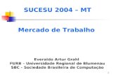 1 SUCESU 2004 – MT Mercado de Trabalho Everaldo Artur Grahl FURB – Universidade Regional de Blumenau SBC - Sociedade Brasileira de Computação.