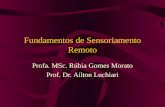 Fundamentos de Sensoriamento Remoto Profa. MSc. Rúbia Gomes Morato Prof. Dr. Ailton Luchiari.
