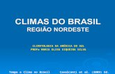 CLIMATOLOGIA DA AMÉRICA DO SUL PROFa MARIA ELISA SIQUEIRA SILVA Tempo e Clima no Brasil Cavalcanti et al. (2009) Ed. Oficina de Textos.