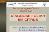 Prof. Dr. Renato de Mello Prado Depto. de Solos e Adubos DIAGNOSE FOLIAR EM CITRUS Semana Agronômica FAFRAM.