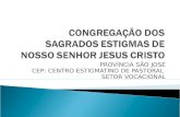 PROVÍNCIA SÃO JOSÉ CEP: CENTRO ESTIGMATINO DE PASTORAL SETOR VOCACIONAL.