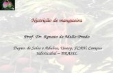 Nutrição de mangueira Prof. Dr. Renato de Mello Prado Depto. de Solos e Adubos, Unesp, FCAV, Campus Jaboticabal – BRASIL.