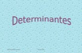 SilvanaWBenvenuttiTurma:301. Determinantes Determinante é um número real associado a uma matriz quadrada. Notação: det A ou |A|. Determinante de uma Matriz.