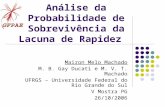 Análise da Probabilidade de Sobrevivência da Lacuna de Rapidez Mairon Melo Machado M. B. Gay Ducati e M. V. T. Machado UFRGS – Universidade Federal do.