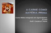 Curso Médio Integrado em Agroindústria 2º ano Profª. Carolina P. Porto.