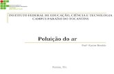 Poluição do ar Prof a. Karine Beraldo Paraíso, TO. INSTITUTO FEDERAL DE EDUCAÇÃO, CIÊNCIA E TECNOLOGIA CAMPUS PARAÍSO DO TOCANTINS.