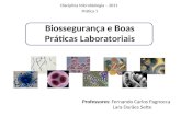Biossegurança e Boas Práticas Laboratoriais Professores: Fernando Carlos Pagnocca Lara Durães Sette Disciplina Microbiologia – 2011 Prática 1.
