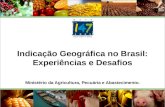 Ministério da Agricultura, Pecuária e Abastecimento. Indicação Geográfica no Brasil: Experiências e Desafios.