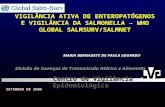 VIGILÂNCIA ATIVA DE ENTEROPATÓGENOS E VIGILÂNCIA DA SALMONELLA – WHO GLOBAL SALMSURV/SALMNET SETEMBRO DE 2006 MARIA BERNADETE DE PAULA EDUARDO Divisão.