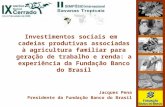 Investimentos sociais em cadeias produtivas associadas à agricultura familiar para geração de trabalho e renda: a experiência da Fundação Banco do Brasil.