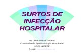 SURTOS DE INFECÇÃO HOSPITALAR Enf. Ana Paula Coutinho Comissão de Epidemiologia Hospitalar HSP/UNIFESP E-mail: hsp.ccih@epm.brhsp.ccih@epm.br.