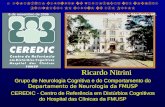 Ricardo Nitrini Grupo de Neurologia Cognitiva e do Comportamento do Departamento de Neurologia da FMUSP CEREDIC - Centro de Referência em Distúrbios Cognitivos.