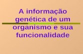 A informação genética de um organismo e sua funcionalidade.