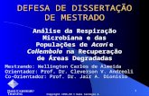 1 DEFESA DE DISSERTAÇÃO DE MESTRADO Análise da Respiração Microbiana e das Populações de Acari e Collembola na Recuperação de Áreas Degradadas Copyright.