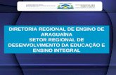 DIRETORIA REGIONAL DE ENSINO DE ARAGUAÍNA SETOR REGIONAL DE DESENVOLVIMENTO DA EDUCAÇÃO E ENSINO INTEGRAL.