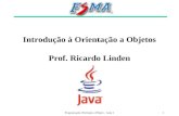 Programação Orientada a Objeto - Aula 11 Introdução à Orientação a Objetos Prof. Ricardo Linden.