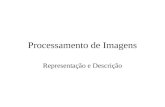 Processamento de Imagens Representação e Descrição.
