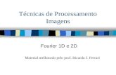 Técnicas de Processamento Imagens Fourier 1D e 2D Material melhorado pelo prof. Ricardo J. Ferrari.