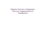 Sistema Nervoso e Integração Nervosa: Organização em Vertebrados.