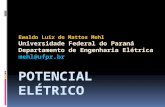 Ewaldo Luiz de Mattos Mehl Universidade Federal do Paraná Departamento de Engenharia Elétrica mehl@ufpr.br.