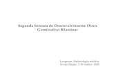 Segunda Semana do Desenvolvimento: Disco Germinativo Bilaminar Langman, Embriologia médica- Nona Edição- T.W.Sadler- 2005.