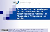 Os desafios da montagem de um Laboratório de Monitoramento Global de Florestas Tropicais em Belém Licença de Uso: Creative Commons Atribuição-Uso Não-Comercial-Compartilhamento.