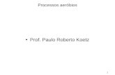 1 Processos aeróbios Prof. Paulo Roberto Koetz. 2 Tratamento Biológico Remoção da matéria orgânica –Metabolização por microorganismos Aeróbio –presença.