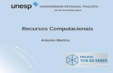 UD de Sorocaba/ Iperó UNIVERSIDADE ESTADUAL PAULISTA Recursos Computacionais Antonio Martins.