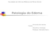Patologia do Edema Faculdade de Ciências Médicas de Minas Gerais Fernanda dos Santos Toledo Disciplina: Fisiologia Professor: Reinaldo Sieiro.