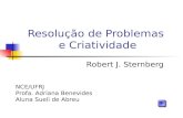 Resolução de Problemas e Criatividade Robert J. Sternberg NCE/UFRJ Profa. Adriana Benevides Aluna Sueli de Abreu.
