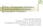 RFA – Comparação histológica entre os tecidos musculares esquelético e cardíaco Felipe Basilato Mazega Acadêmico do 2° ano de Medicina Faculdade de Ciências.