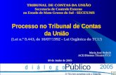 Processo no Tribunal de Contas da União (Lei n.º 8.443, de 16/07/1992 - Lei Orgânica do TCU) Maria José Pedroli ACE/Diretora Técnica/TCU 09 de Junho de.